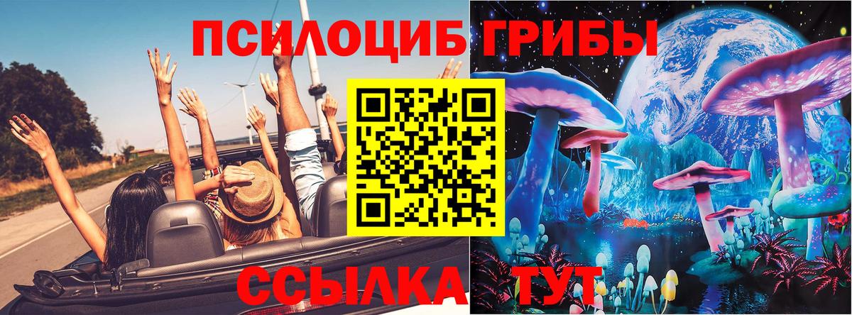 Галлюциногенные грибы Magic Shrooms Дербент